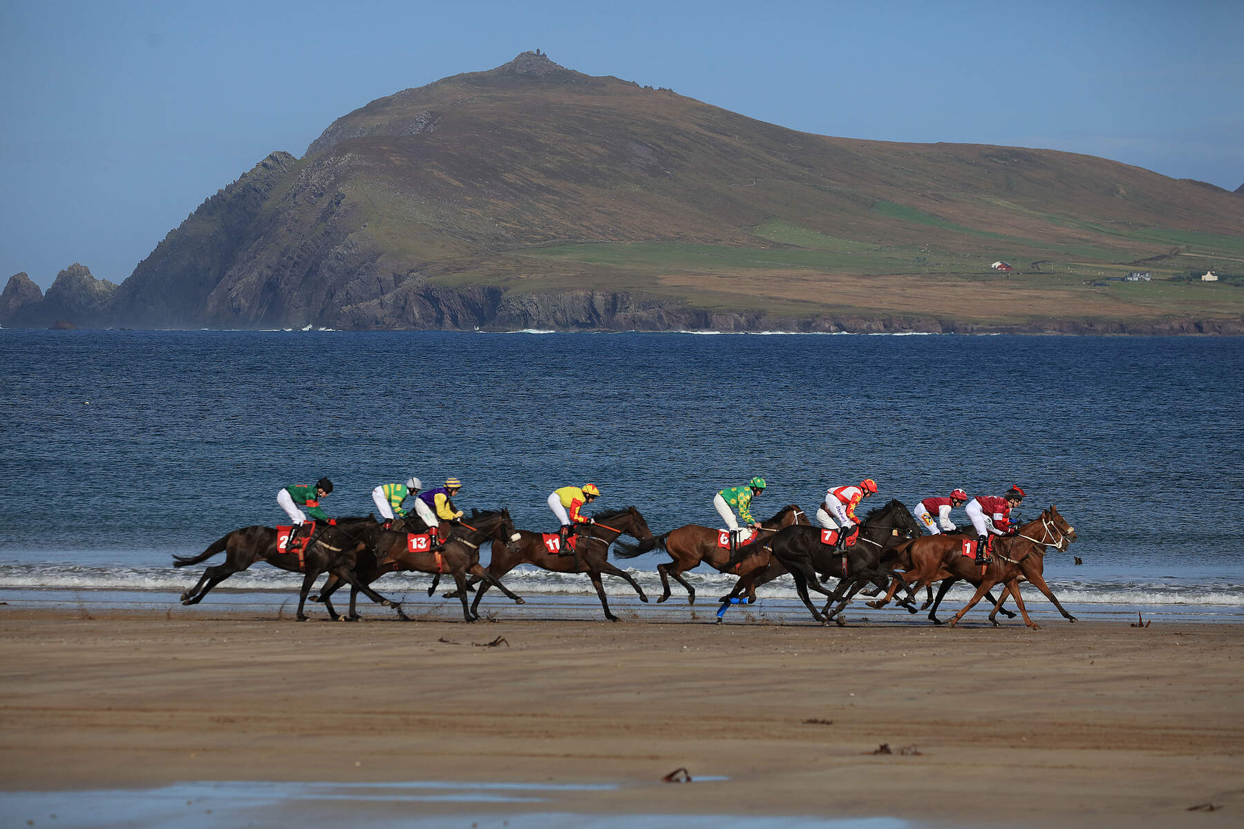 Horse racing on a beach with sea and mountain behind