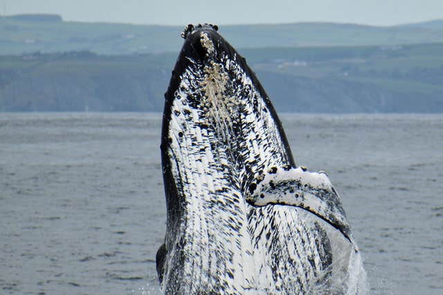 West Cork Charters