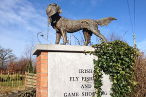 The Irish Fly Fishing and Game Museum