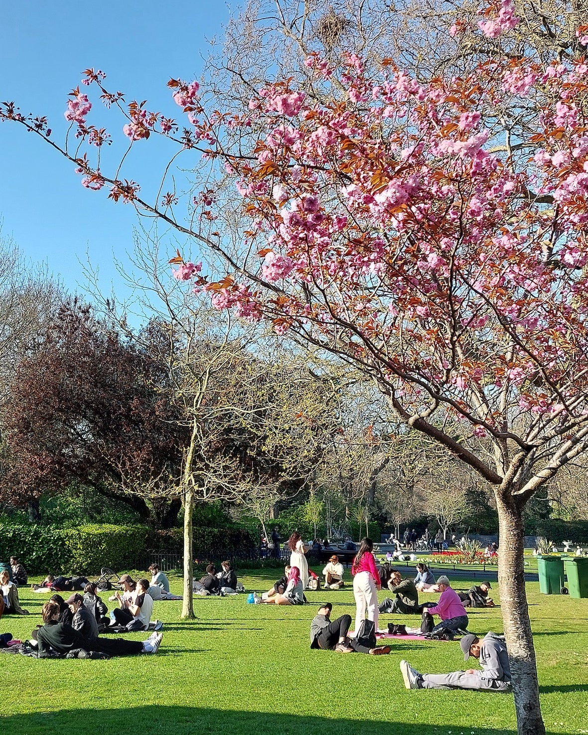 Deublin Spring How to Enjoy Spring in Dublin With Visit Dublin