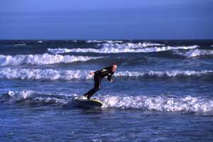 T-Bay Surf & Wildlife Centre