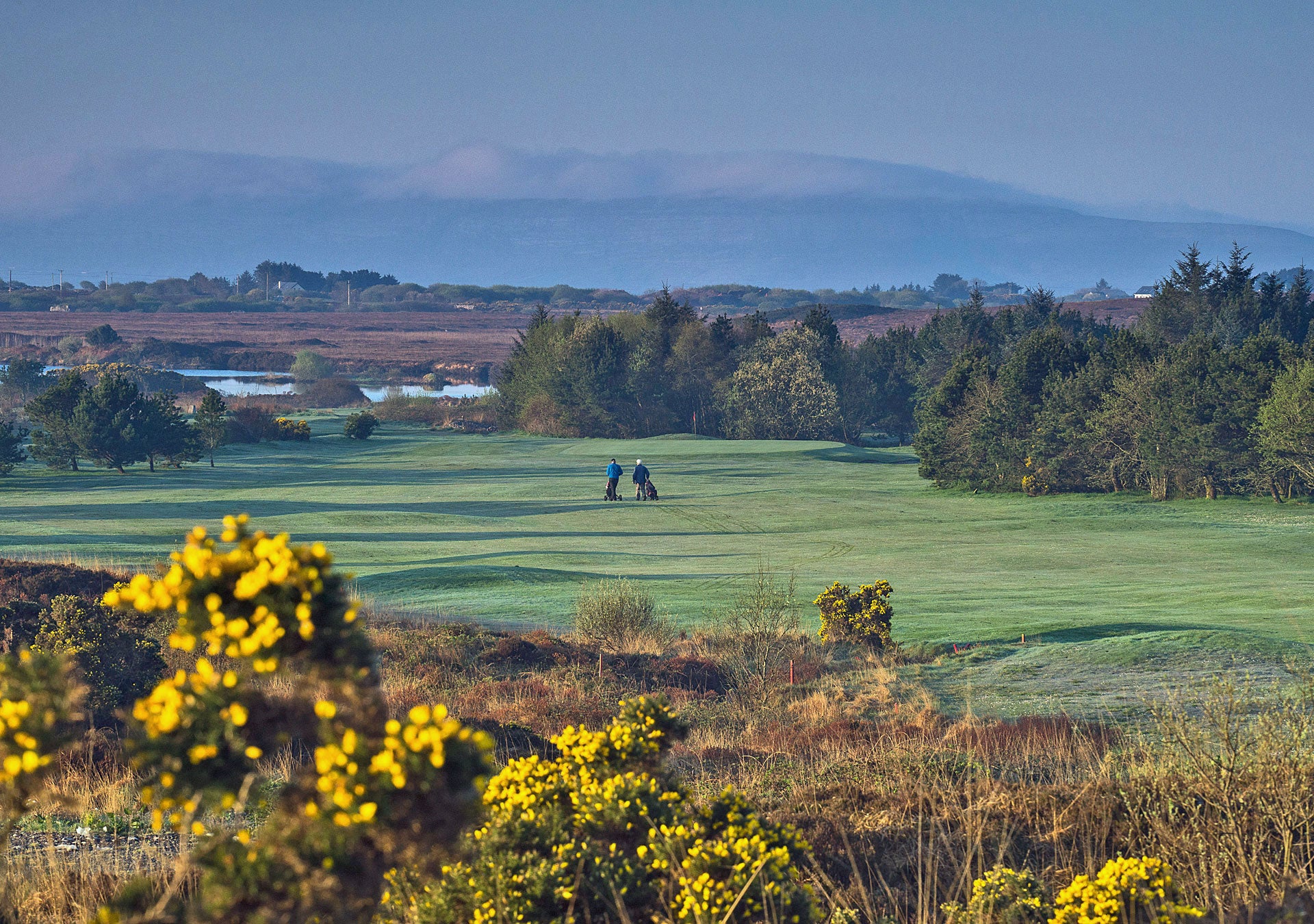 Bearna Golf Club players on a green with a view of mountains in the background