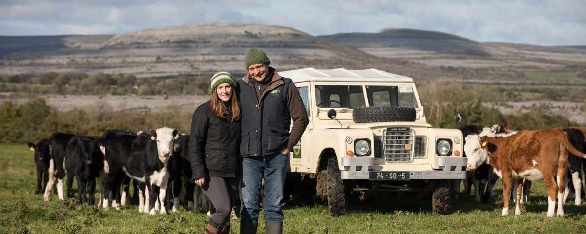 Couple in field with cows and jeep with mountain view