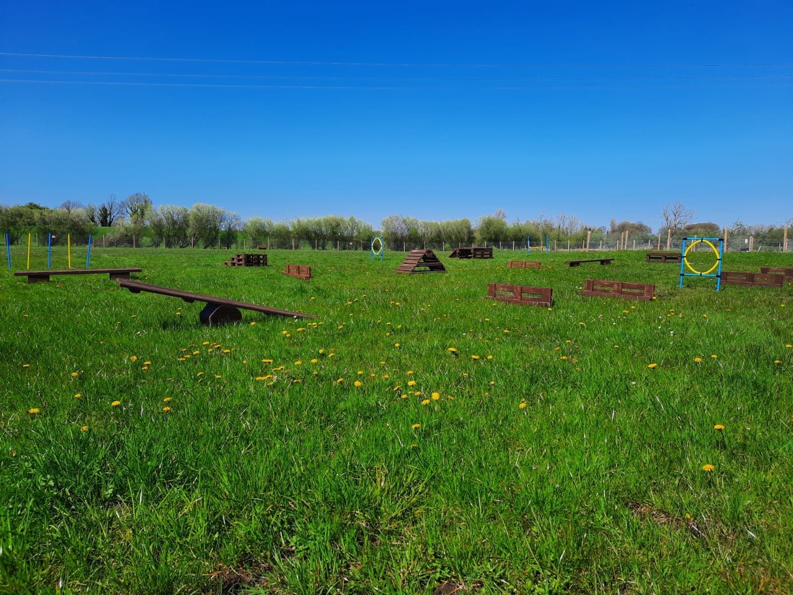 Field of grass with obstacles in it and a blue sky over head