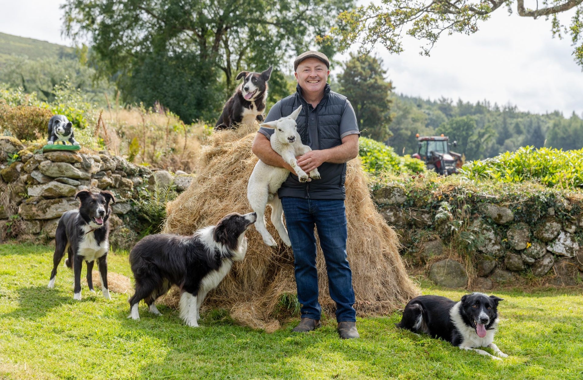 A farmer holds a lamb with four sheepdogs relaxing around him