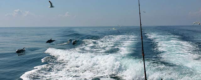 Tor Mór Charter Boat