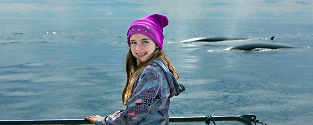 Cork Whale Watch