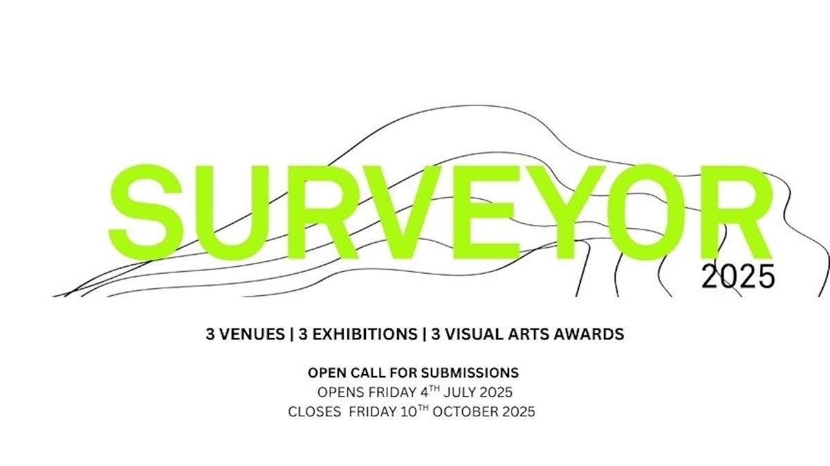 Image of Surveyor 2025