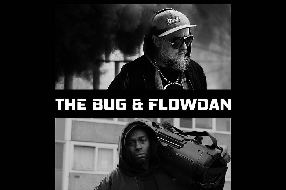 The Bug and Flowdan