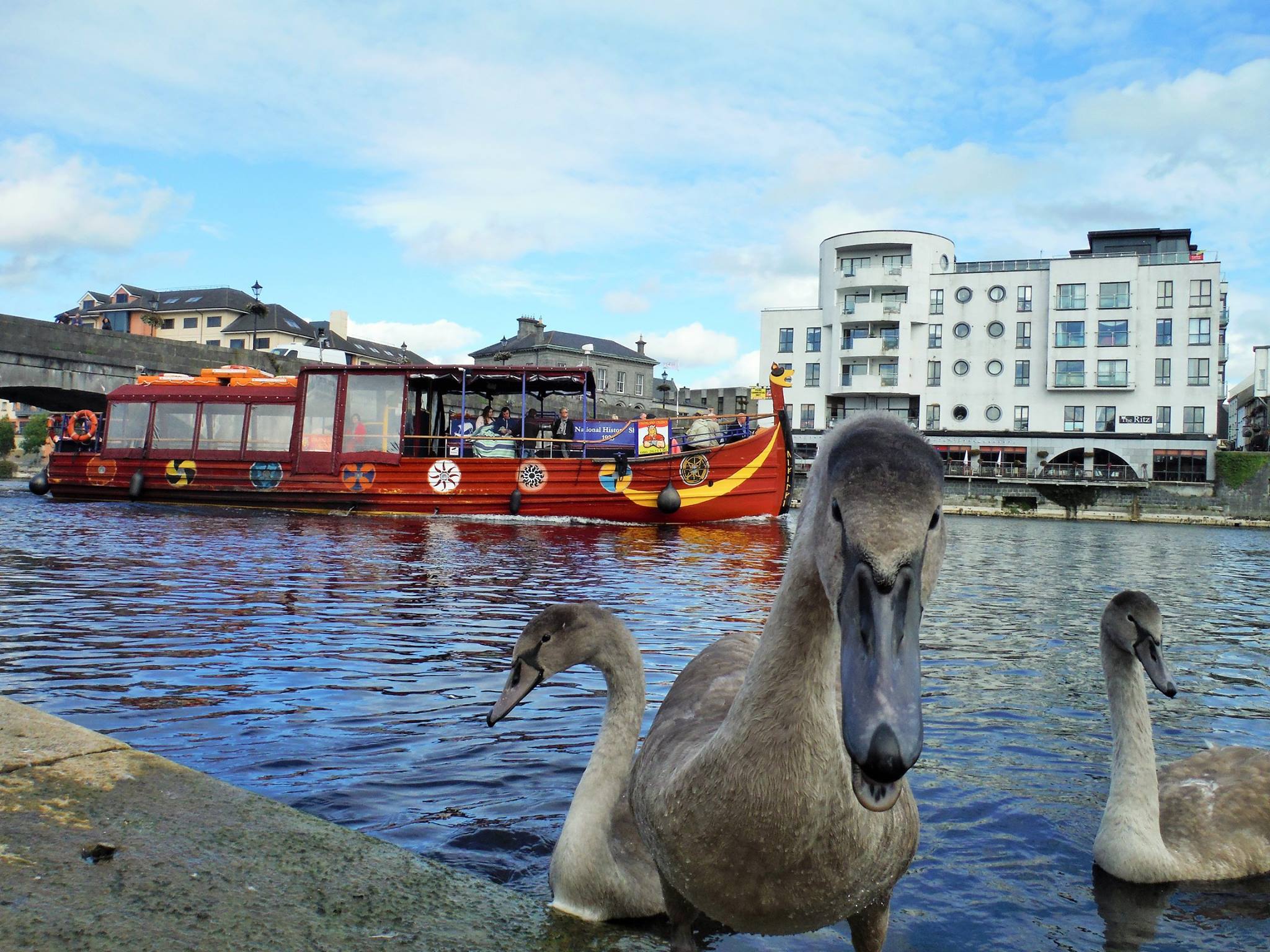 Viking Tours Ireland Activities Activity Operators Republic of