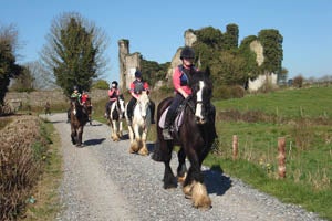 Athlone Equestrian Centre