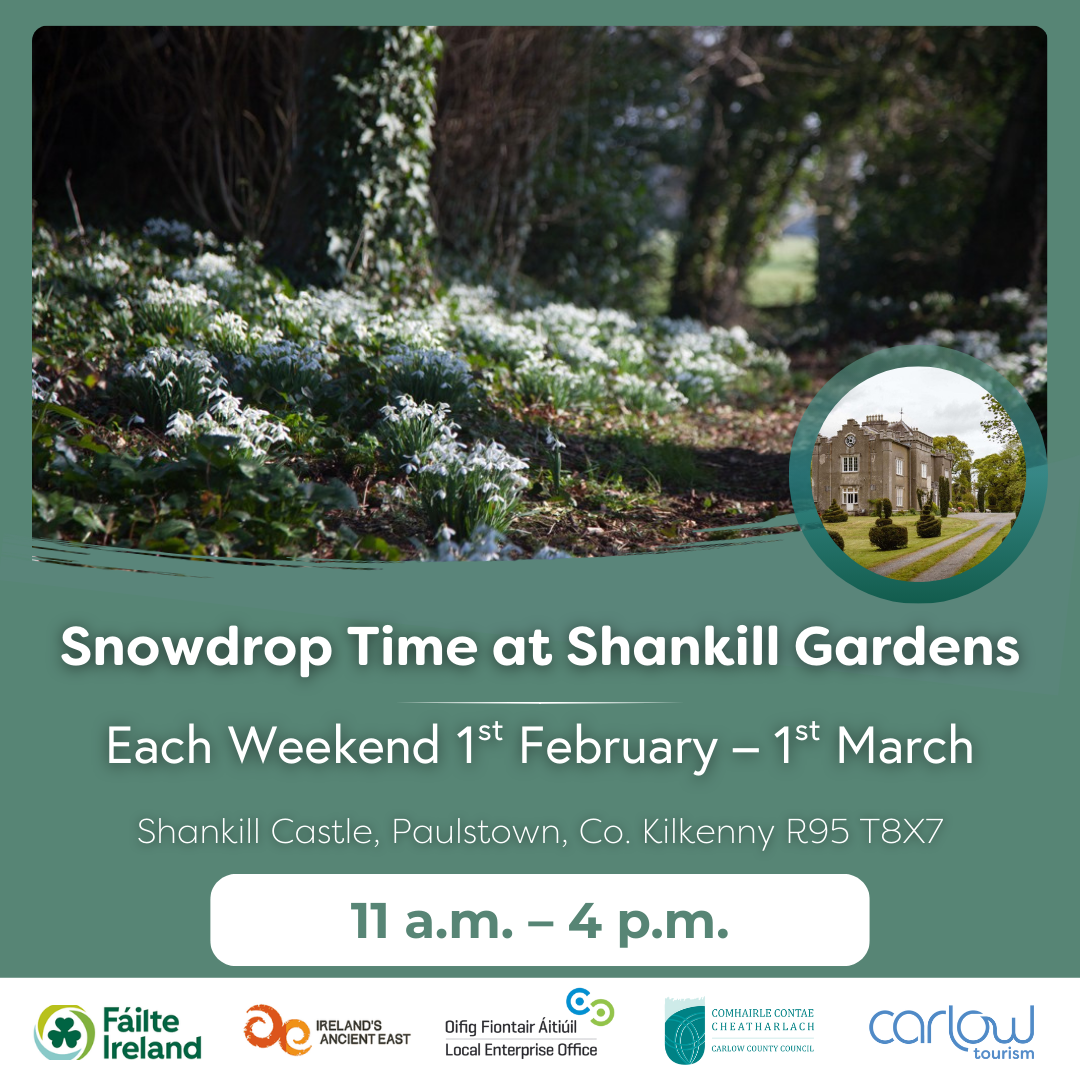 Poster for Carlow Snowdrop Time - Shankill Castle