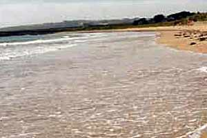 Curragh Beach