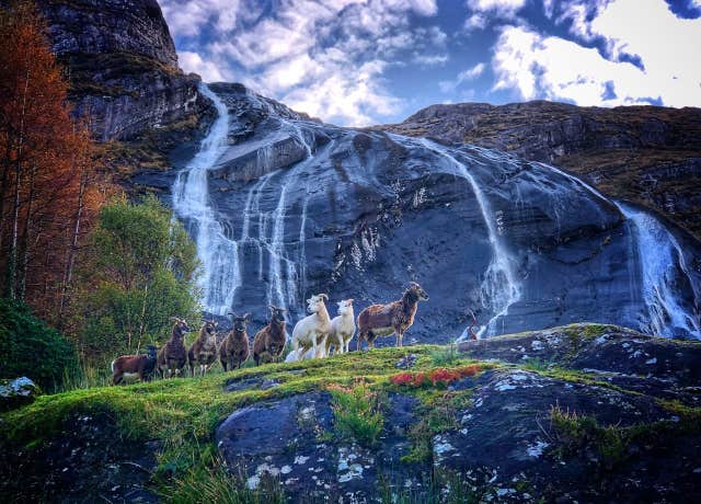 Gleninchaquin Park