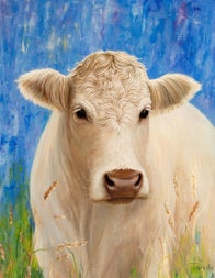 The White Cow by Tetiana Tsarenko