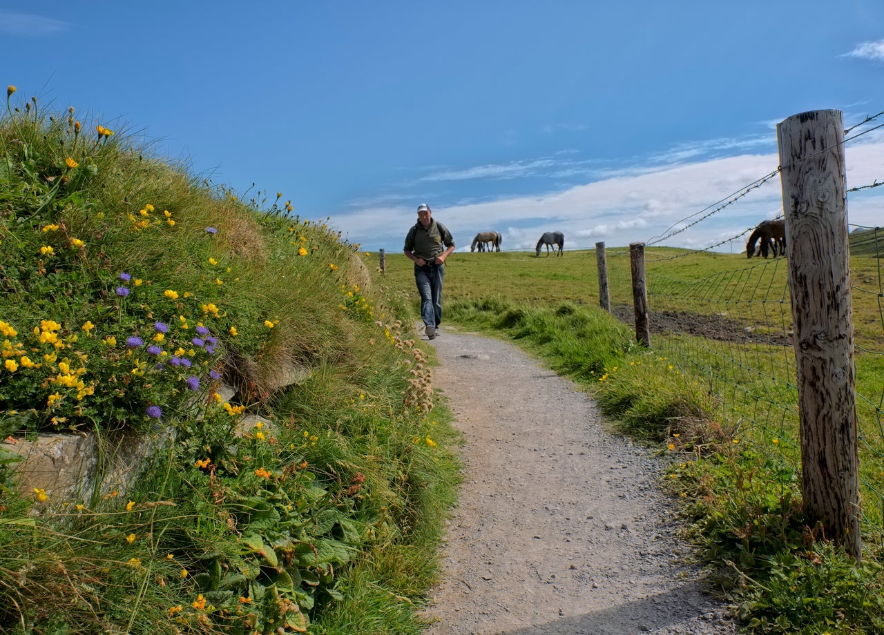 Cliffs Of Moher Coastal Walk