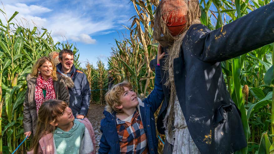 A family in a corn maze at Causey Farm in Co Meath