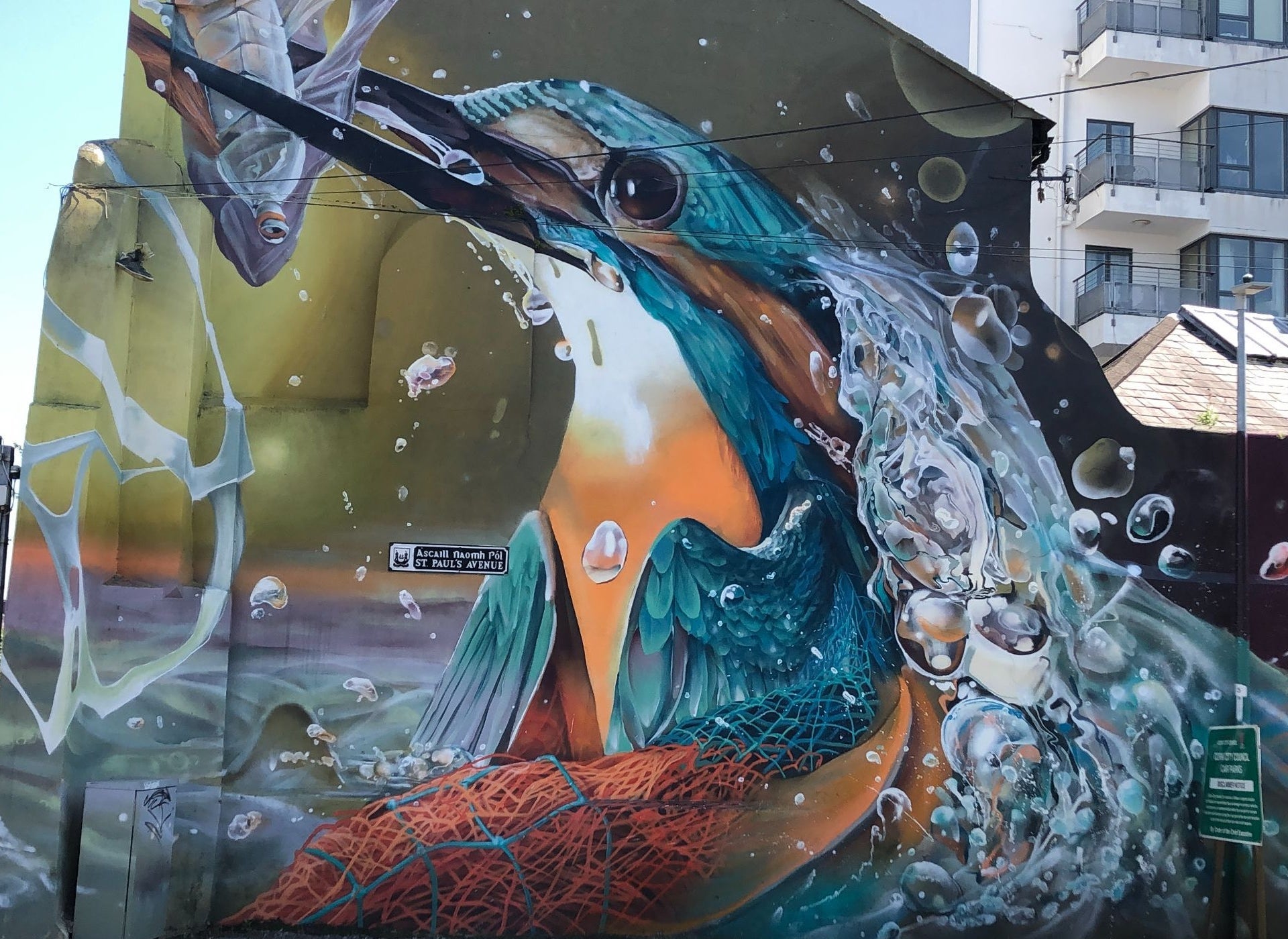 A street art image in Cork city of a sea bird with a fish in their mouth