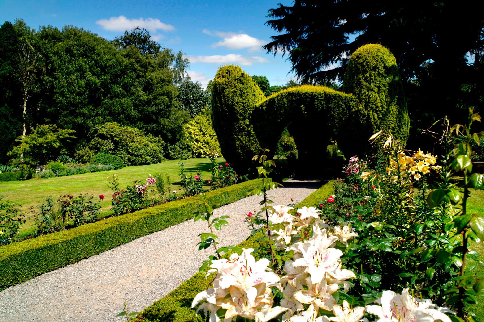 Inspiring Gardens to Visit in Co. Carlow with Discover Ireland