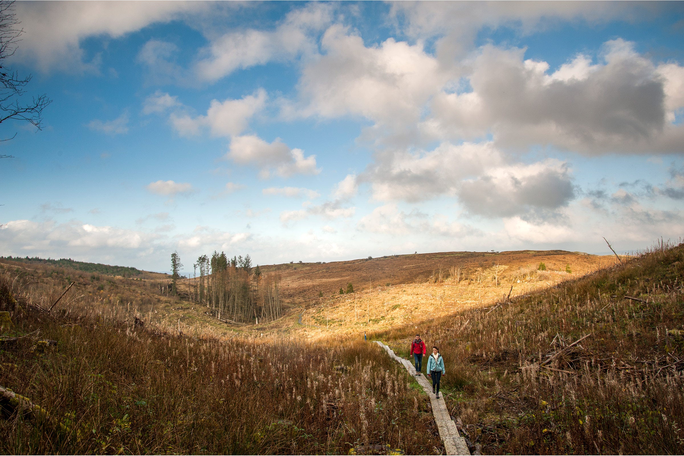 Check Out The Best Things To Do In County Cavan With Discover Ireland