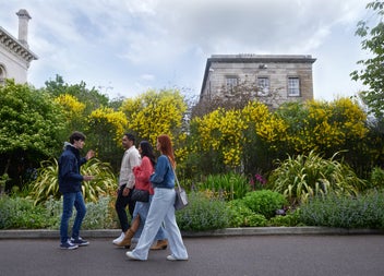 Guide and visitors walking past yellow flowers