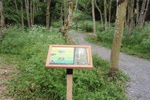 Inch Wildfowl Reserve