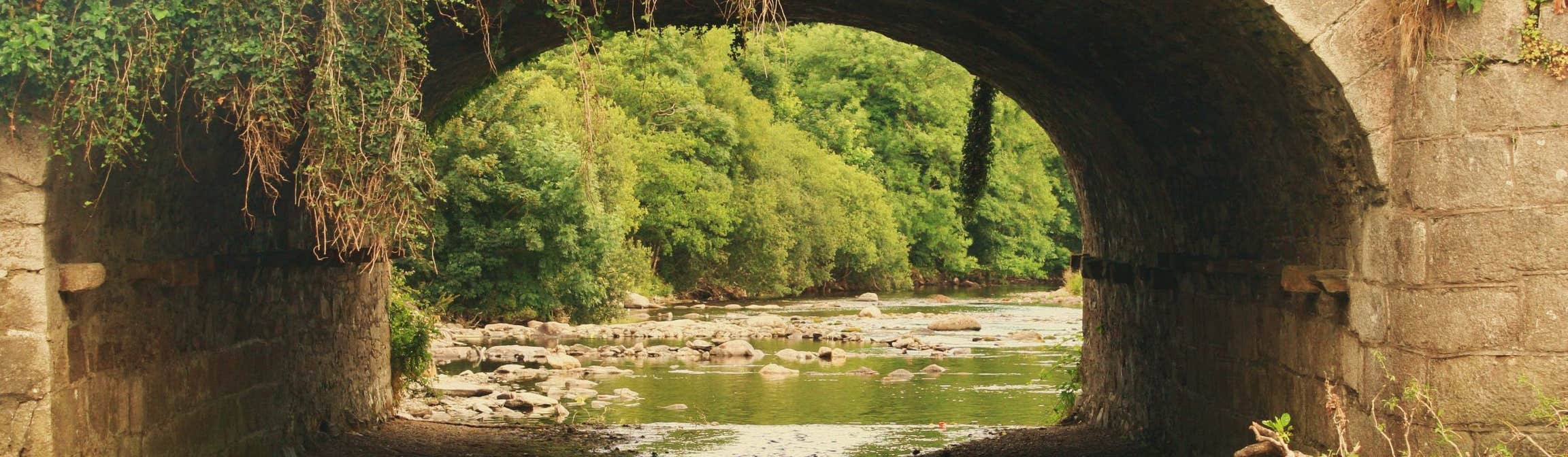 Enjoy Splendid Rathdrum with Discover Ireland