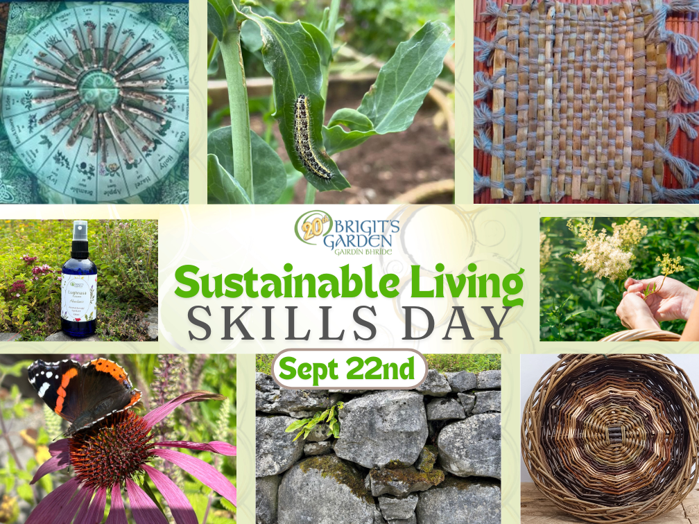 Sustainable Living Skills Day at Brigit's Garden. Various images of plants, insects, stone wall, baskets and other crafts.
