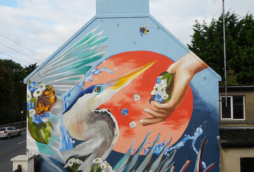 Waterford Walls Festival 2025