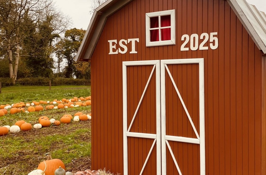 Tonagh Pumpkin Hollow 2026