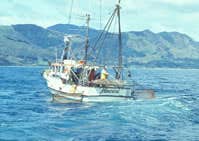 Gerry Sheerin Boat Trips