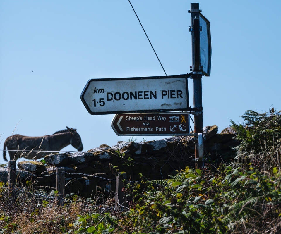 Signposts with a stone wall with a horse