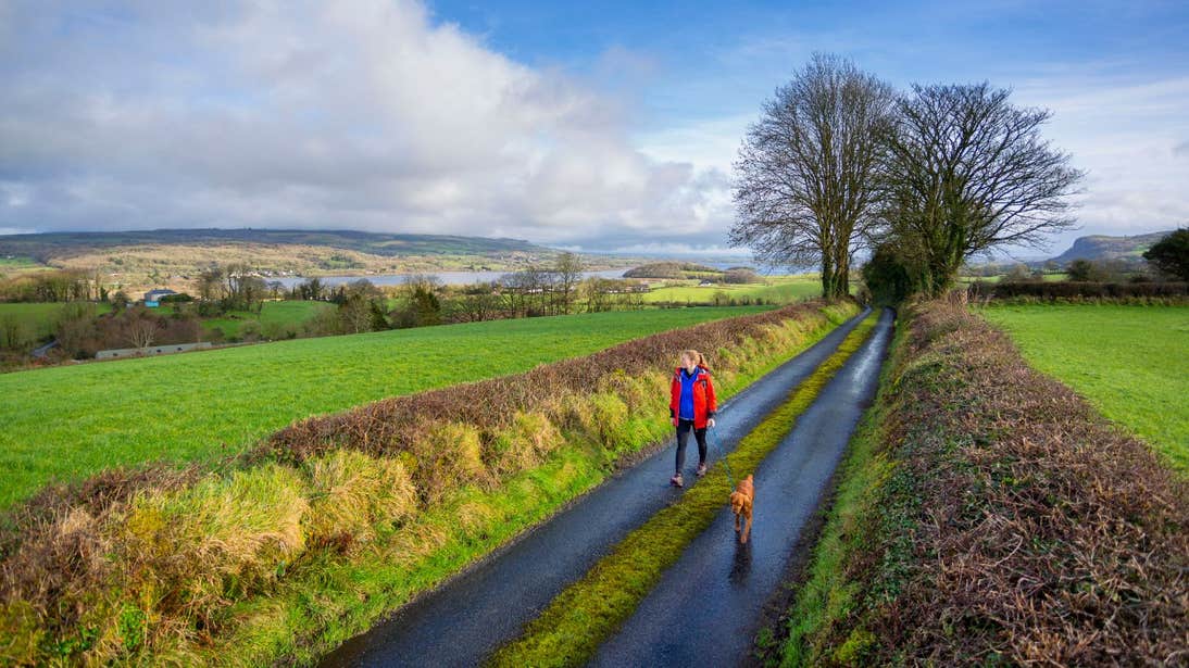A woman and a dog walking on peaceful country lanes on the Cavan Way.