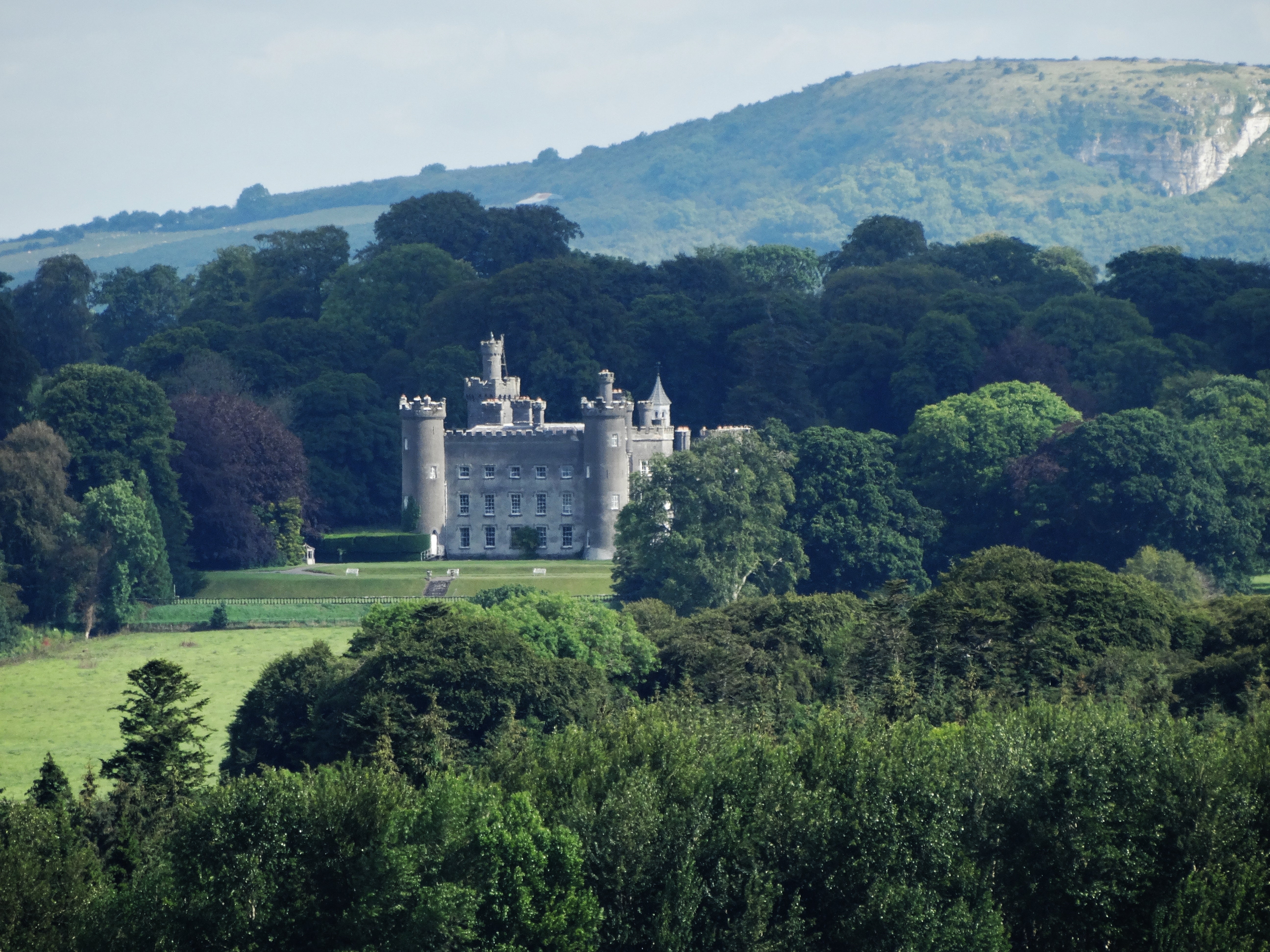 Castle in the background of trees