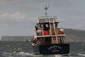 Dolphinwatch Carrigaholt 