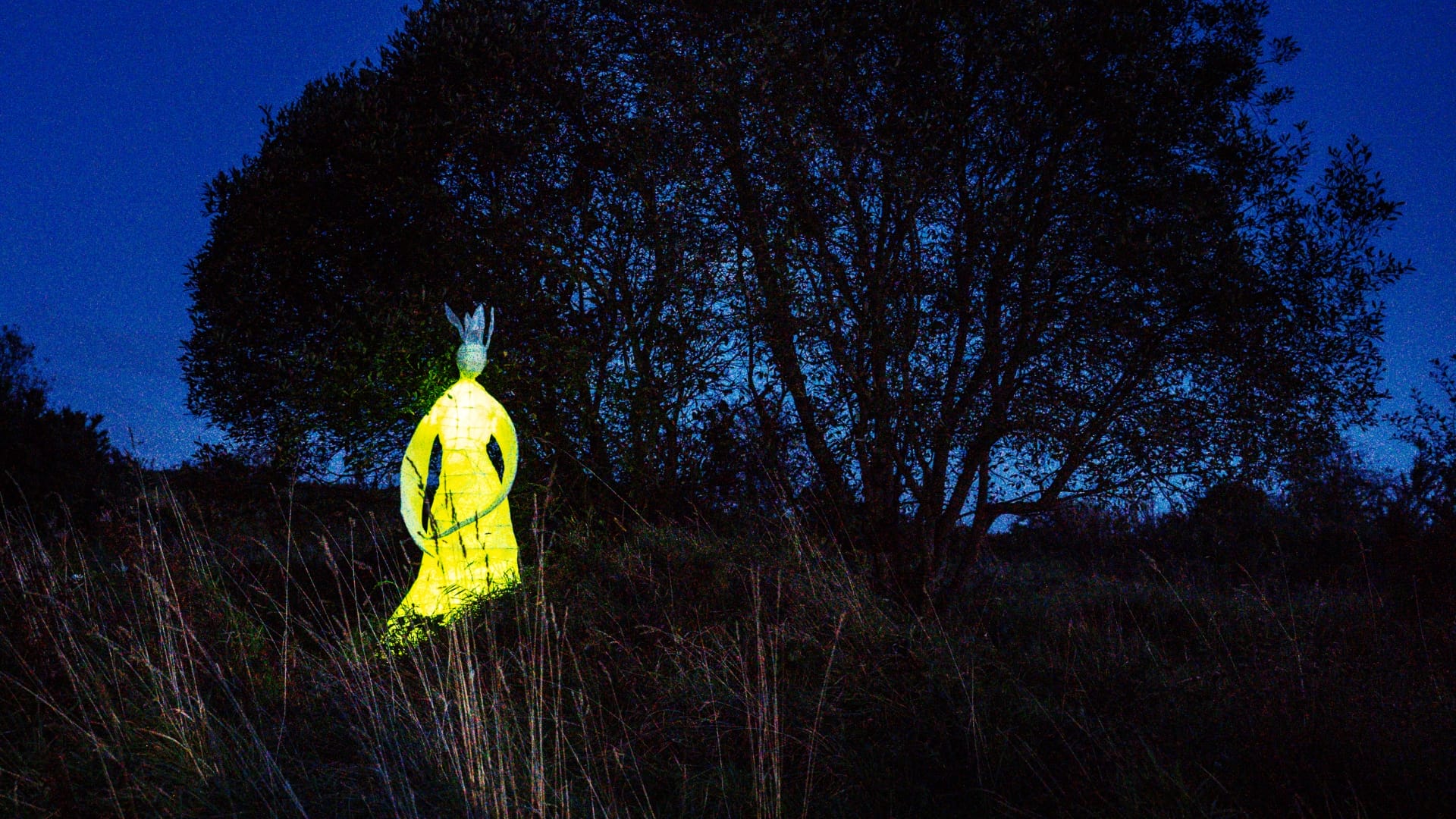 Silva Lumina – Lights of Growth