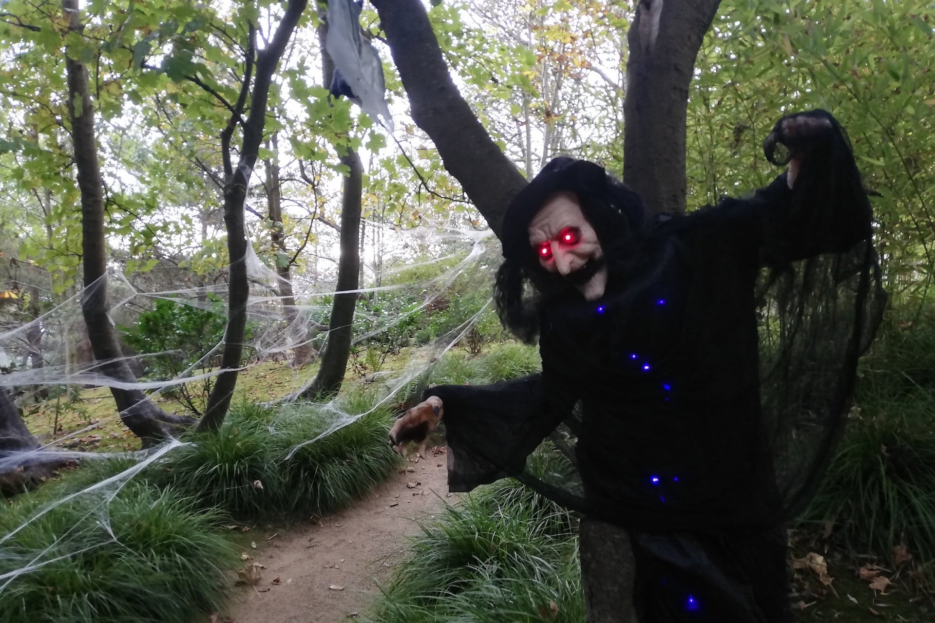 In a wooded area, a black hooded figure with spooky old face and red eyes is hanging from a tree.