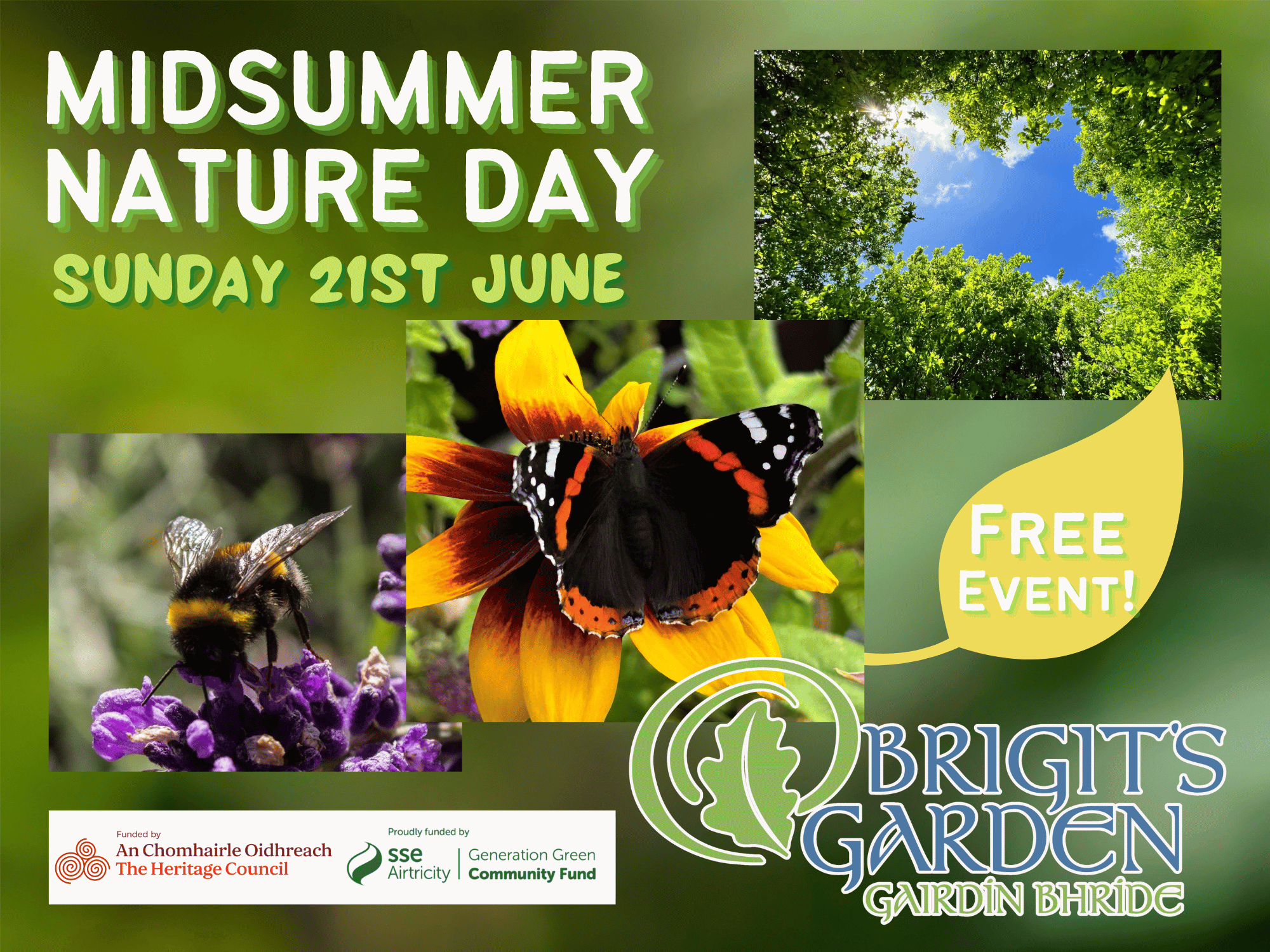 Midsummer Nature Day, Free event, Biodiversity day, family day, biodiversity walks