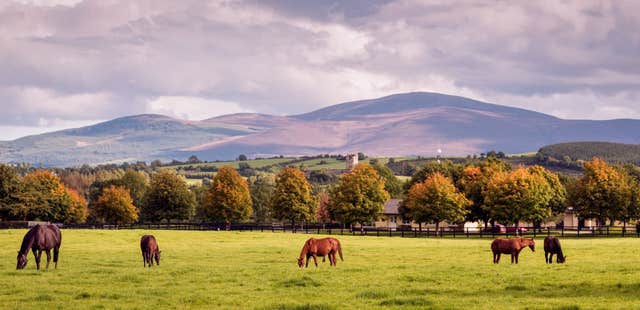 Horse Country