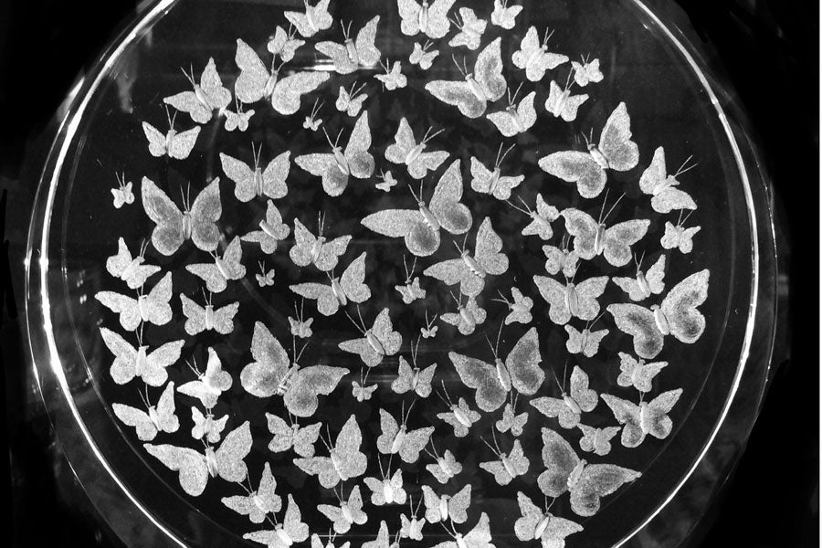 Glass with butterflies etched on it