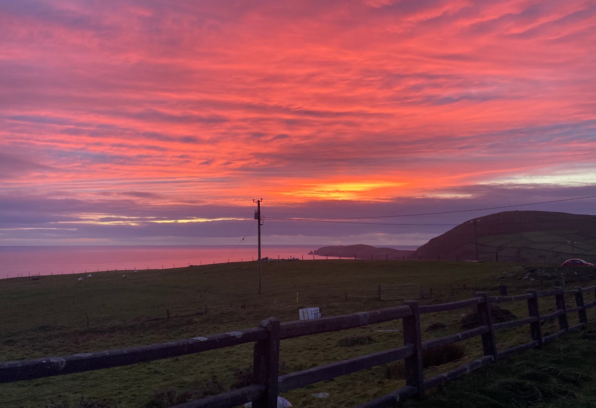 Green field and ocean behind a fence with a pink and orange sunset in the sky