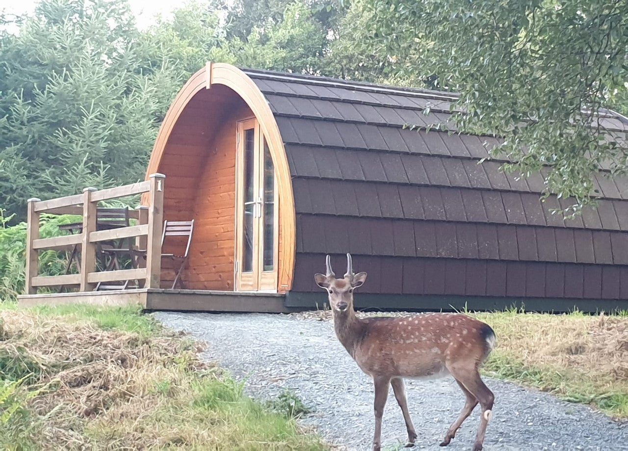 Front view of glamping pod