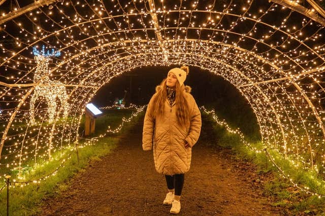 Adventure Lights - The Lost Kingdom, Louth