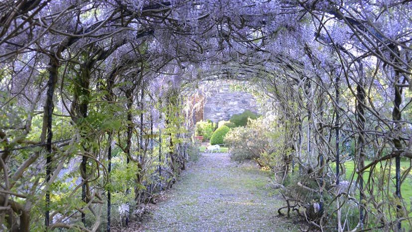 Fairbrook Visit Fairbrook House Garden and Museum with Discover Ireland