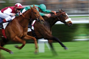 Bellewstown Racecourse