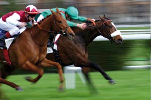 Bellewstown Racecourse