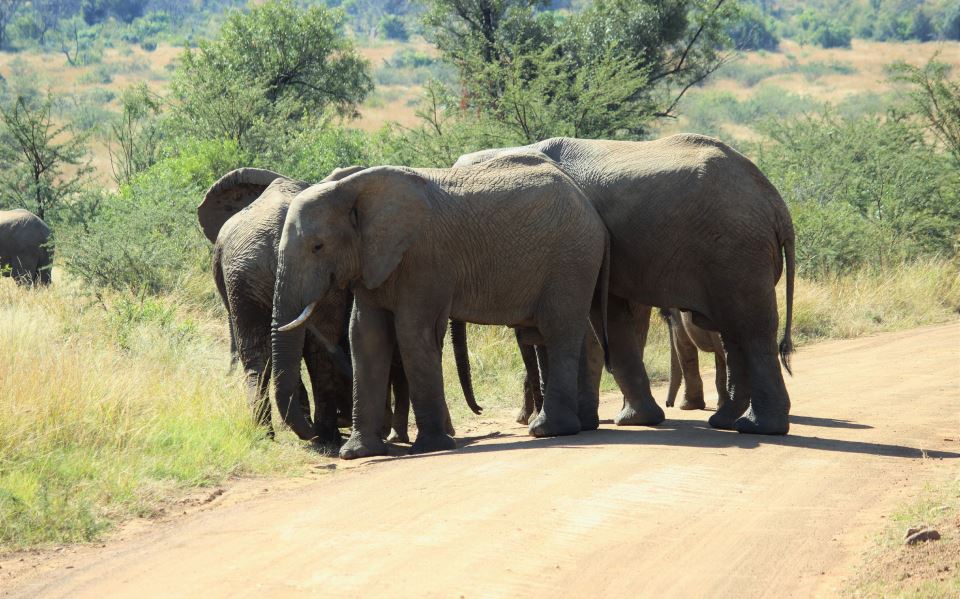 Consulting = travelling