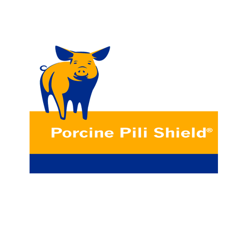 Porcine Pilishield