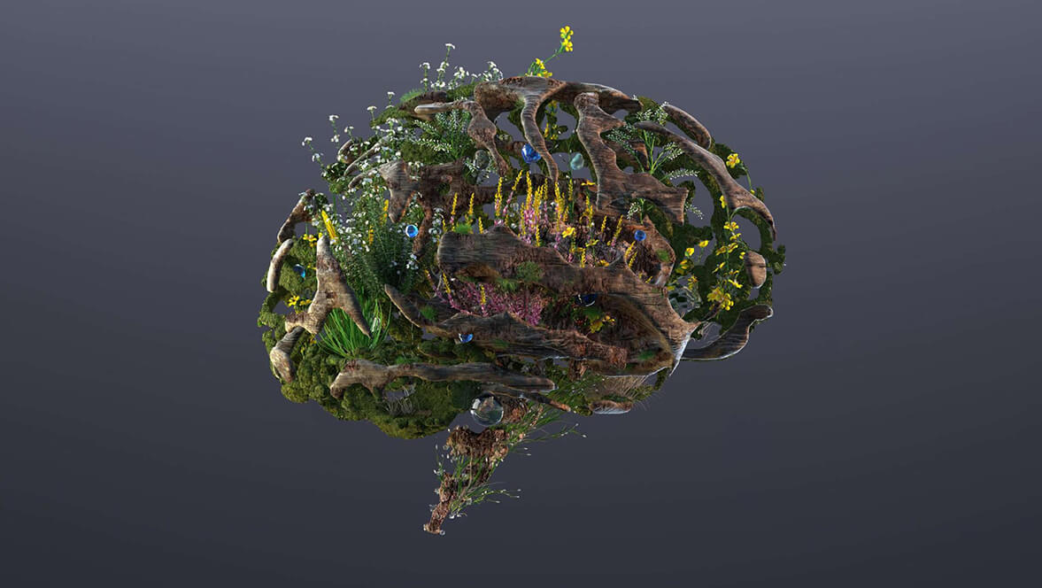 Social Impact for a sustainable future