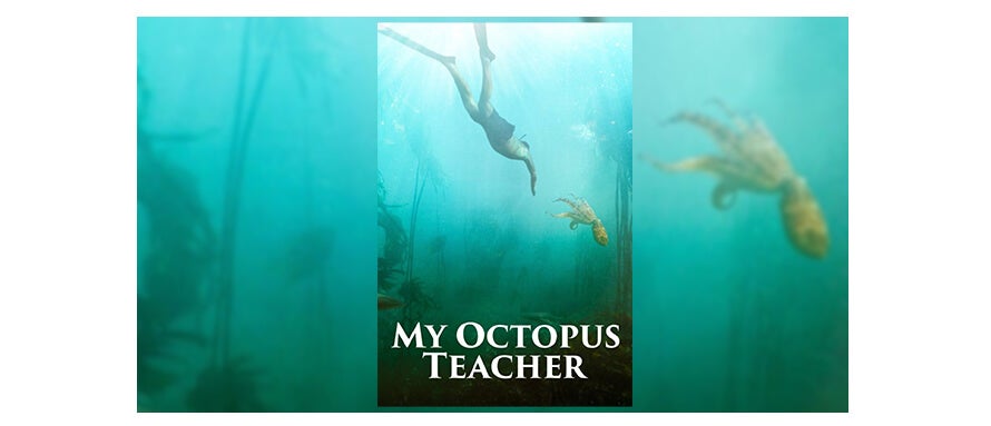 My Octopus Teacher